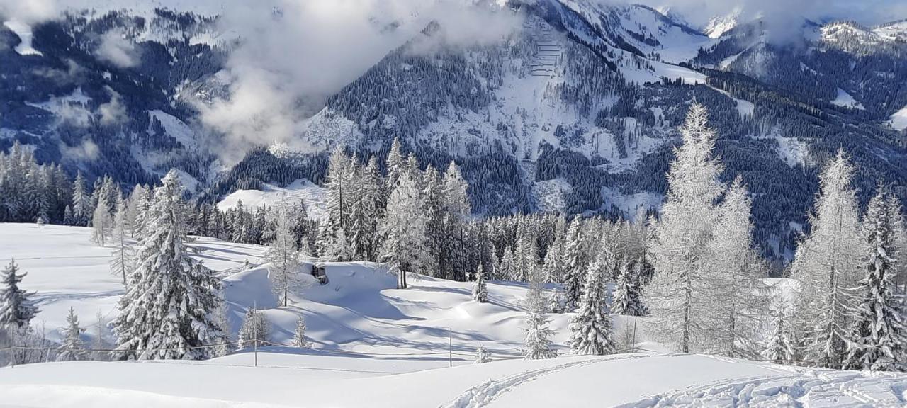 Chalet Auhof Флахау Экстерьер фото